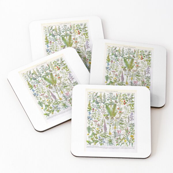 Item preview, ADOLPHE MILLOT HD - Medicinal Plants designed and sold by Go Logo Designs.