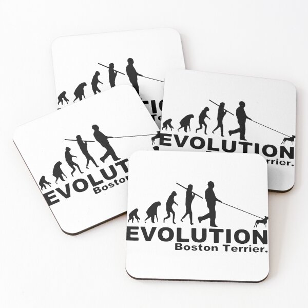 Item preview, Evolution Dog Walker Boston Terrier Essential Love Pet Love Dog Gift Premium Apparel Funny Holiday Xmas designed and sold by DesignByHeartUK.