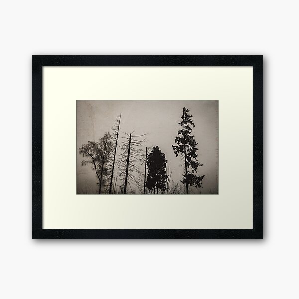 Sisters Framed Art Print
