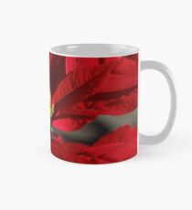 Weihnachtsstern Tasse (Standard)