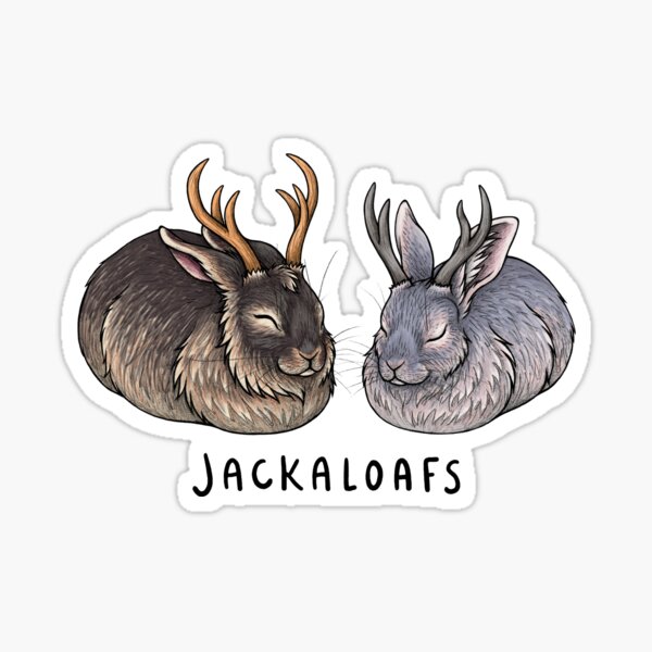 Jackaloafs Sticker