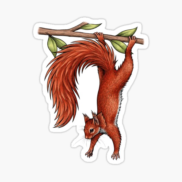 Item preview, Red Squirrel designed and sold by lyndseygreen.