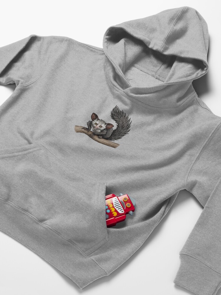 Alternate view of Aye Aye Kids Pullover Hoodie