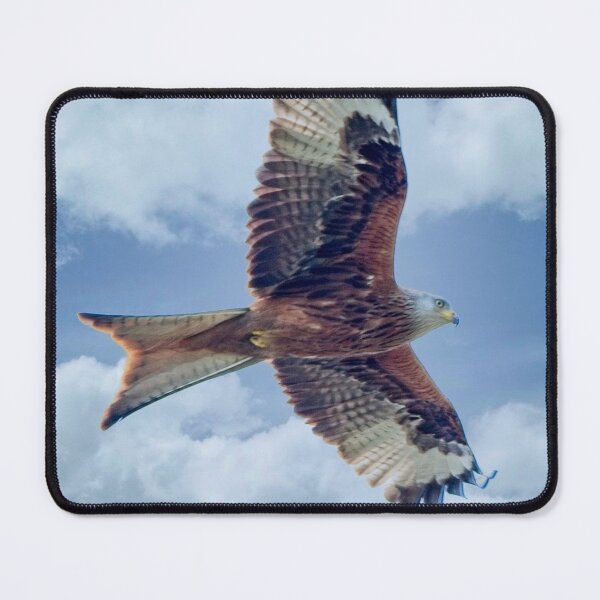 Item preview, Red Kite Bird of Prey designed and sold by Martyn R Arnold Fine Art Nature & Landscape Photography.
