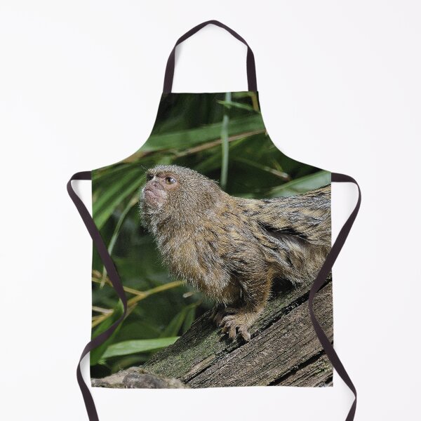 Item preview, r967 / New Finition 2021 " Petit Singe " Ouistiti Pygmée "(h) Olavia-Olao Okaio Créations designed and sold by o.okaïo.