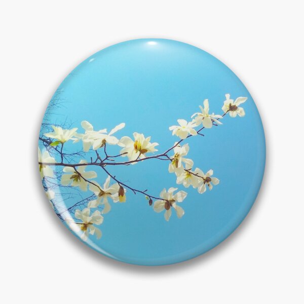 Item preview, White magnolia tree in blossom, spring season, natural background  designed and sold by helenkaiy.
