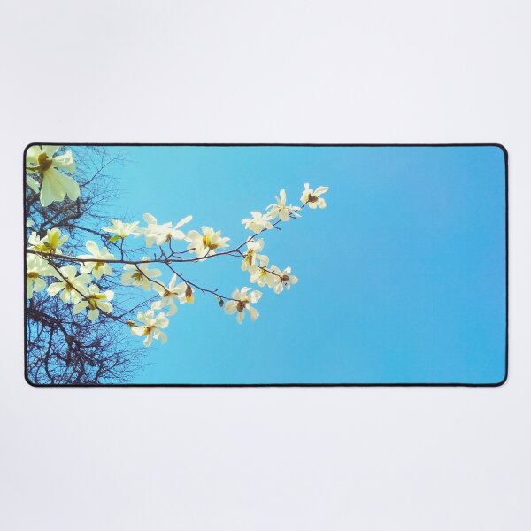 Item preview, White magnolia tree in blossom, spring season, natural background  designed and sold by helenkaiy.