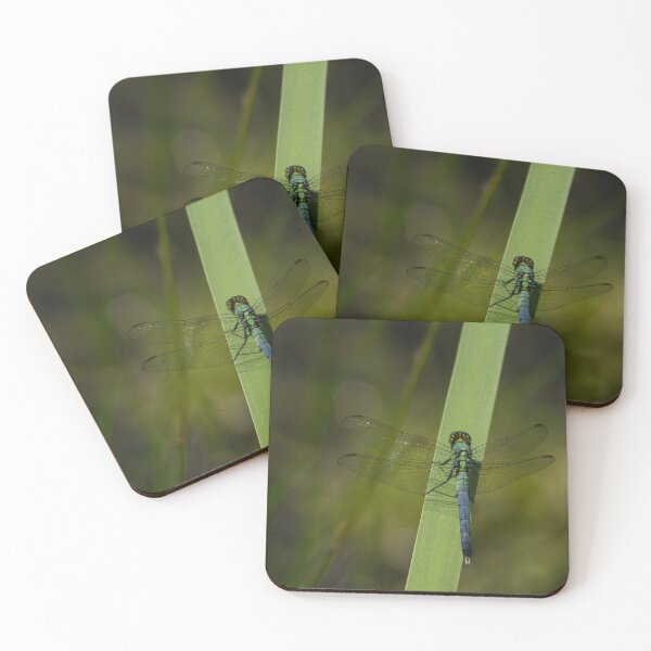 Item preview, Pond Jewel - Blue and Green Dragonfly designed and sold by Georgia Mizuleva.