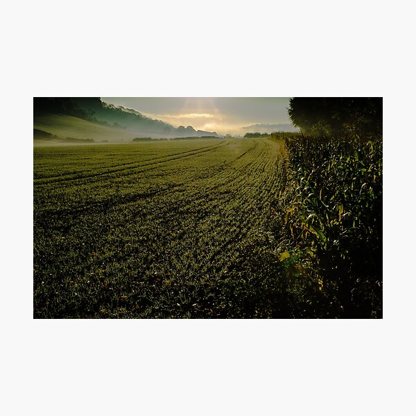 Chilterns fields in autumn Photographic Print