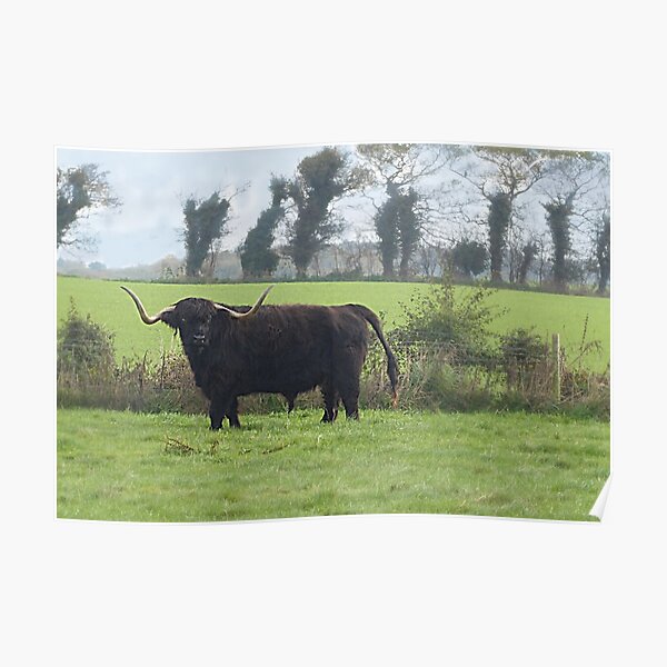 Public footpath? That's a lot of bull. Poster