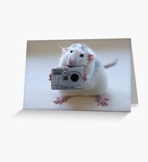 Its not easy being a good photographer! Greeting Card