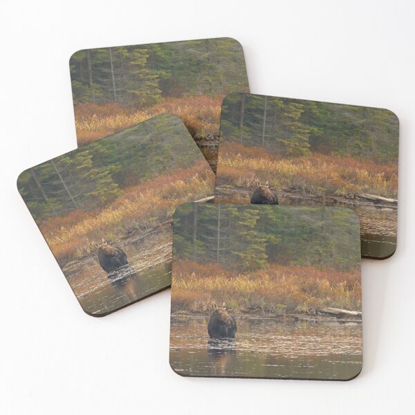 Item preview, Moose on Wolf Howl Pond - Algonquin Park, Canada designed and sold by James Cumming.