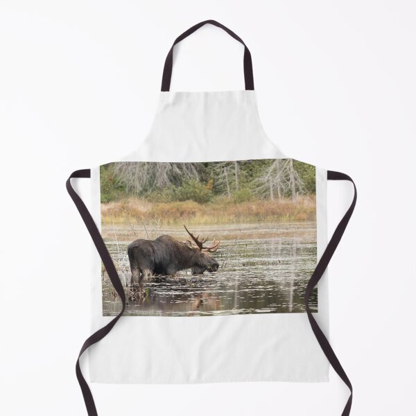 Item preview, Bull Moose, Algonquin Park designed and sold by James Cumming.