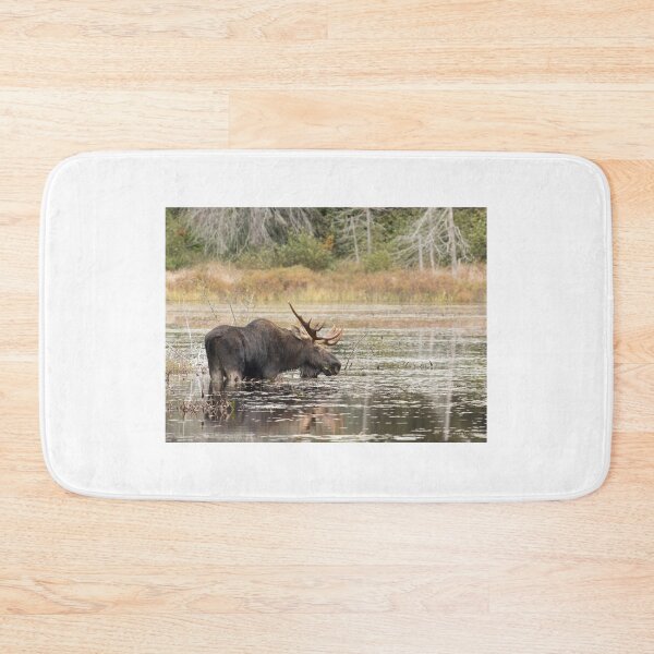 Item preview, Bull Moose, Algonquin Park designed and sold by James Cumming.