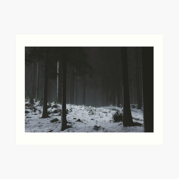 The Whispering Forest Art Print
