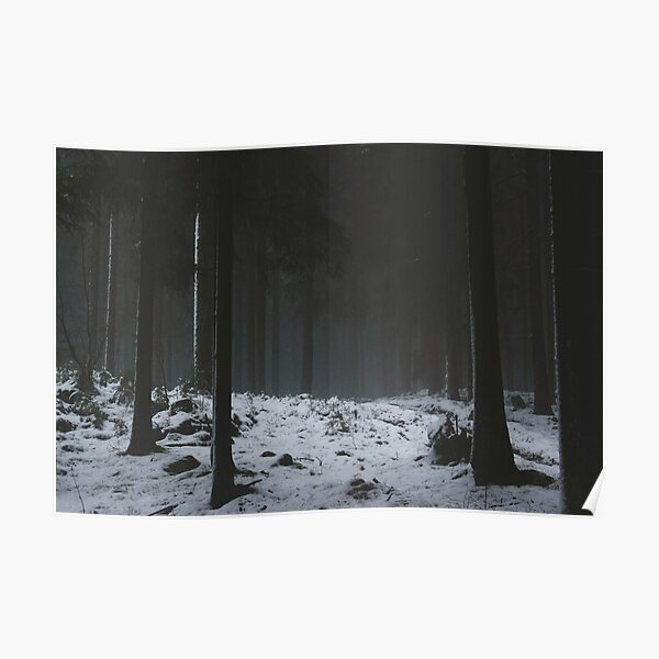 The Whispering Forest Poster