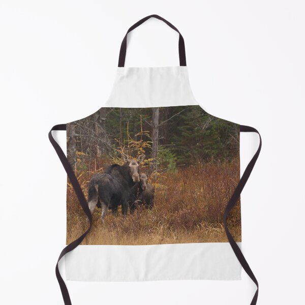 Item preview, Algonquin Moose - Algonquin Park, Canada designed and sold by James Cumming.