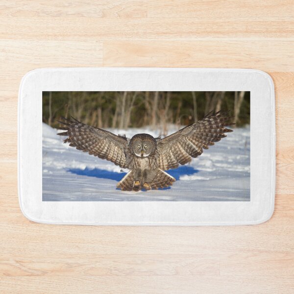 Item preview, Great Grey Owl designed and sold by James Cumming.