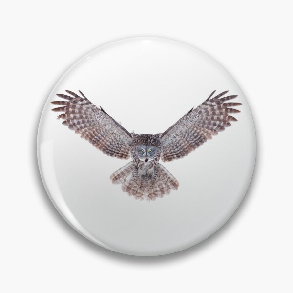 Item preview, Power - Great Grey Owl designed and sold by James Cumming.