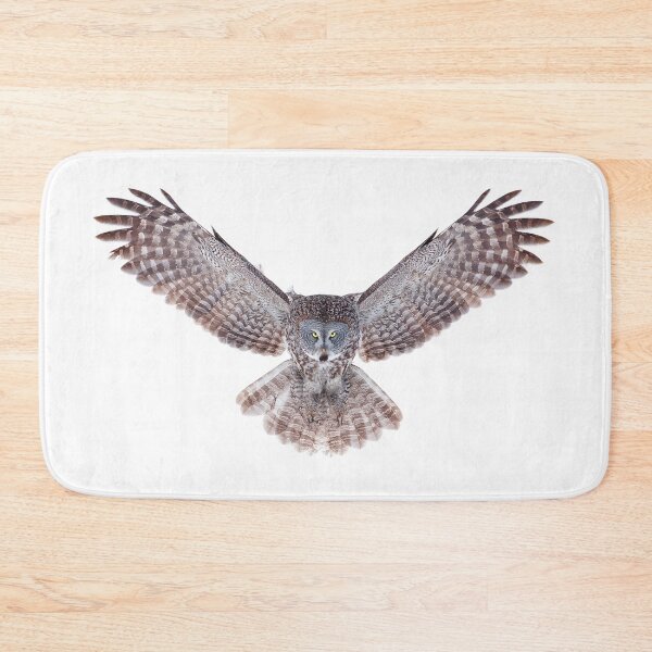 Item preview, Power - Great Grey Owl designed and sold by James Cumming.