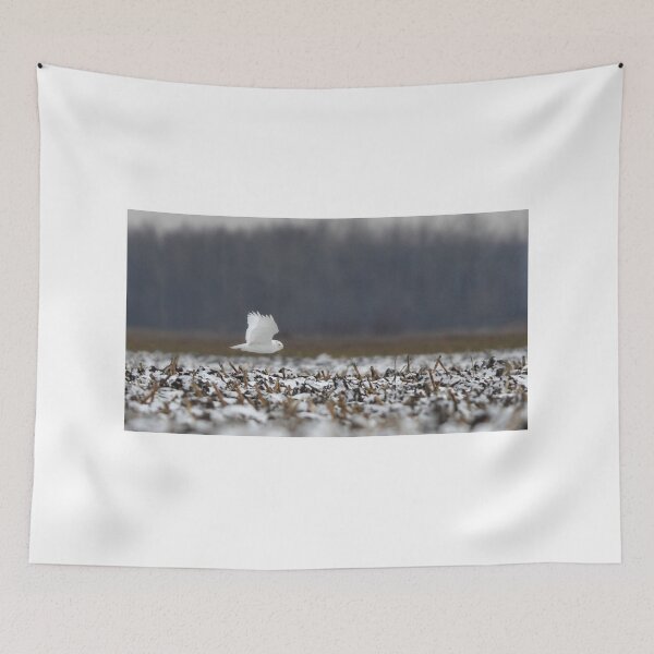 Item preview, Ghost - Snowy Owl designed and sold by James Cumming.