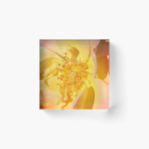 Item preview, Face of the Rose designed and sold by Bob Hardy.