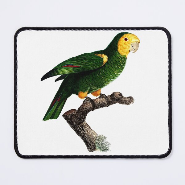 Item preview, Amazon Yellow-Shouldered barbadensis designed and sold by mrtom414.