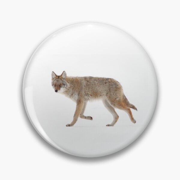 Item preview, Coyote in winter designed and sold by James Cumming.