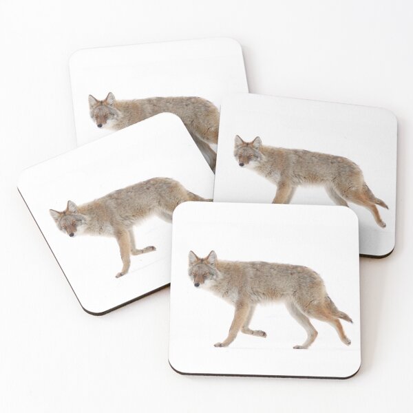 Item preview, Coyote in winter designed and sold by James Cumming.