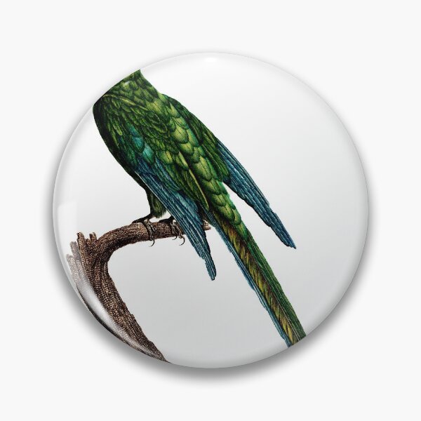 Item preview, incredible  painted Blue-Winged Macaw designed and sold by mrtom414.