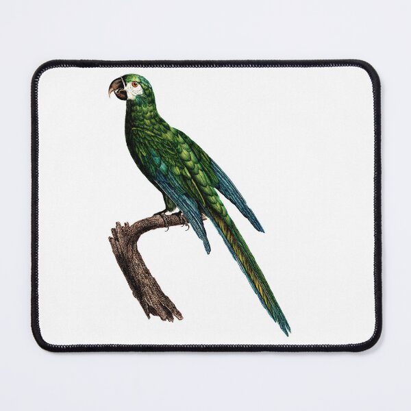 Item preview, incredible painted Blue-Winged Macaw designed and sold by mrtom414.
