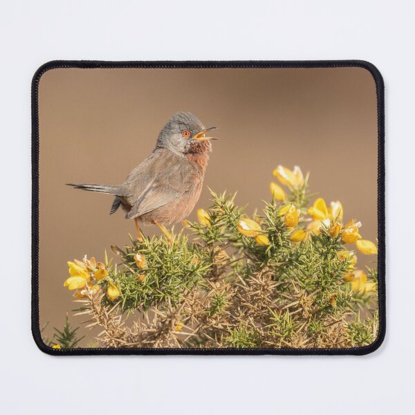 Item preview, Dartford Warbler designed and sold by JackBranscombe.