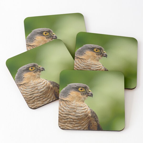 Item preview, Sparrowhawk designed and sold by JackBranscombe.