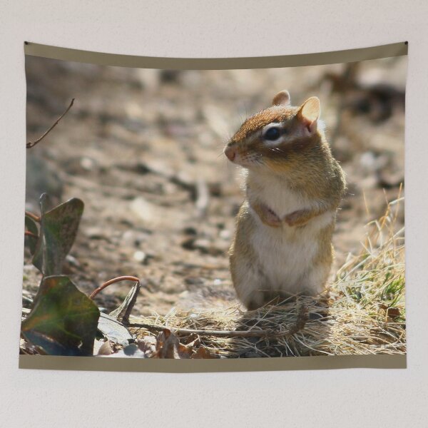 Item preview, Chipmunk designed and sold by Enola Gay Wagner.