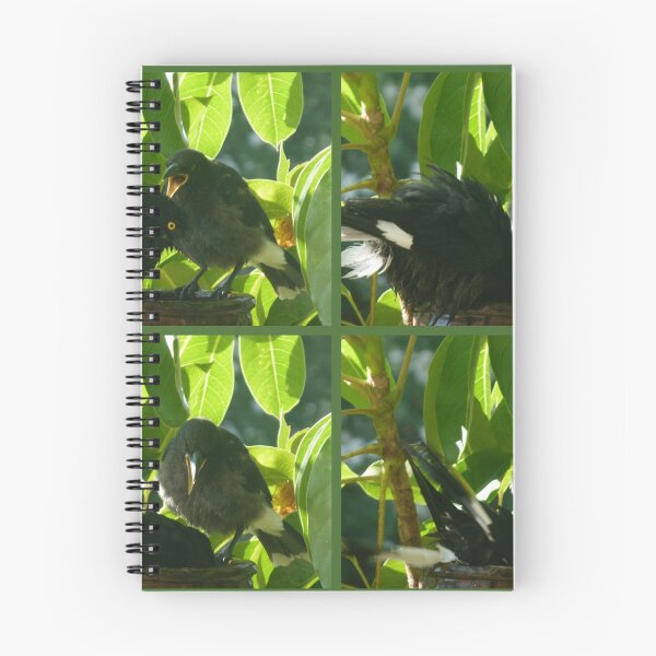 Item preview, One way to get a screecher to be quiet ! designed and sold by Trish Meyer.