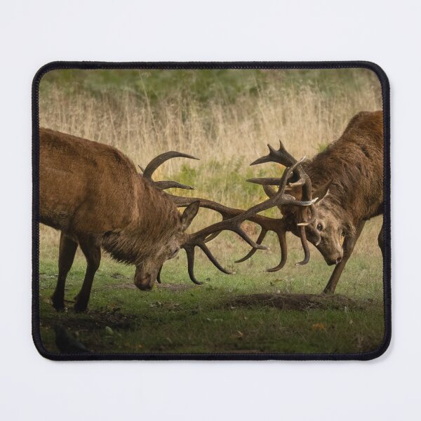 Item preview, The Rut designed and sold by JackBranscombe.