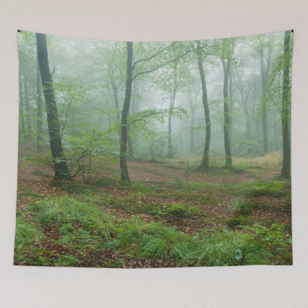 Item preview, Misty Beech Woodland designed and sold by Craig Joiner.