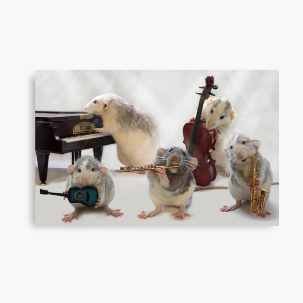 The Quintet Canvas Print