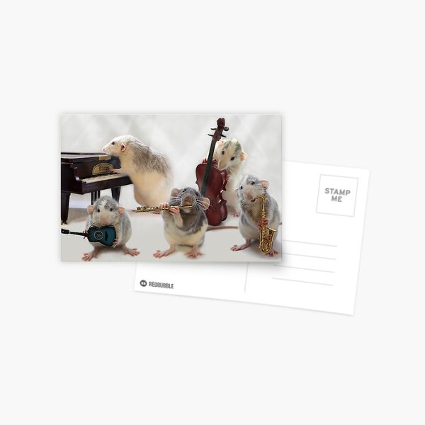 The Quintet Postcard