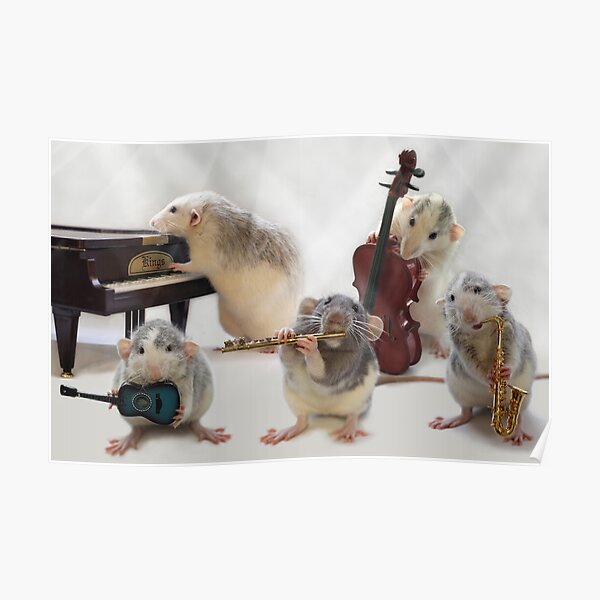The Quintet Poster