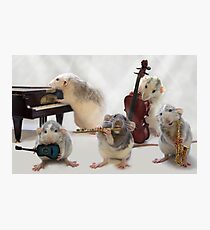 The Quintet Photographic Print