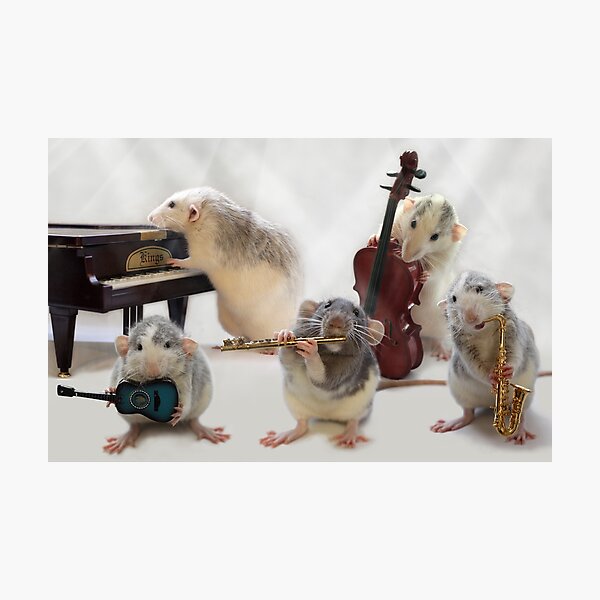The Quintet Photographic Print