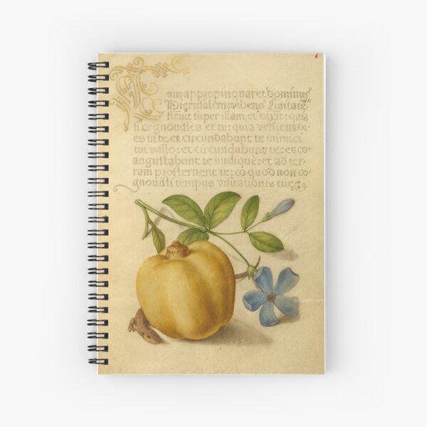 Item preview, Naturalist Manuscript Fruit, Plant and Animal Illumination: Periwinkle, Apple, and Lizard by Joris Hoefnagel  designed and sold by Naturalist Prints.