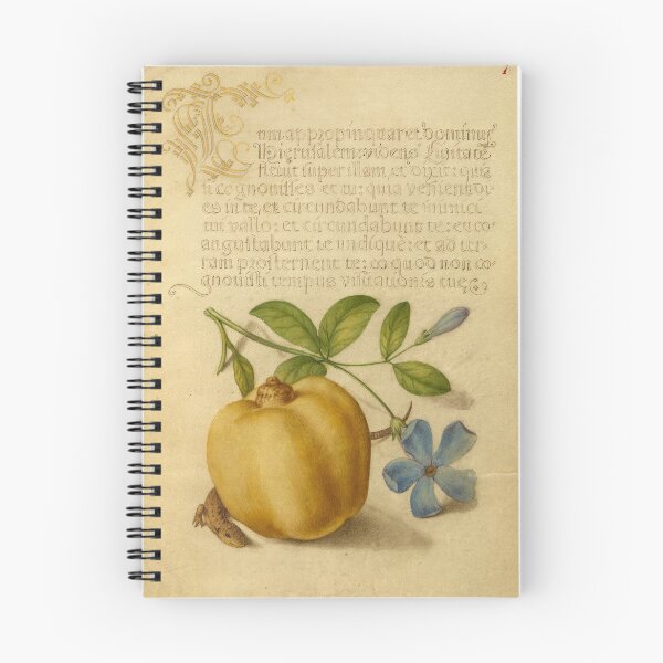 Item preview, Naturalist Manuscript Fruit, Plant and Animal Illumination: Periwinkle, Apple, and Lizard by Joris Hoefnagel  designed and sold by Naturalist Prints.