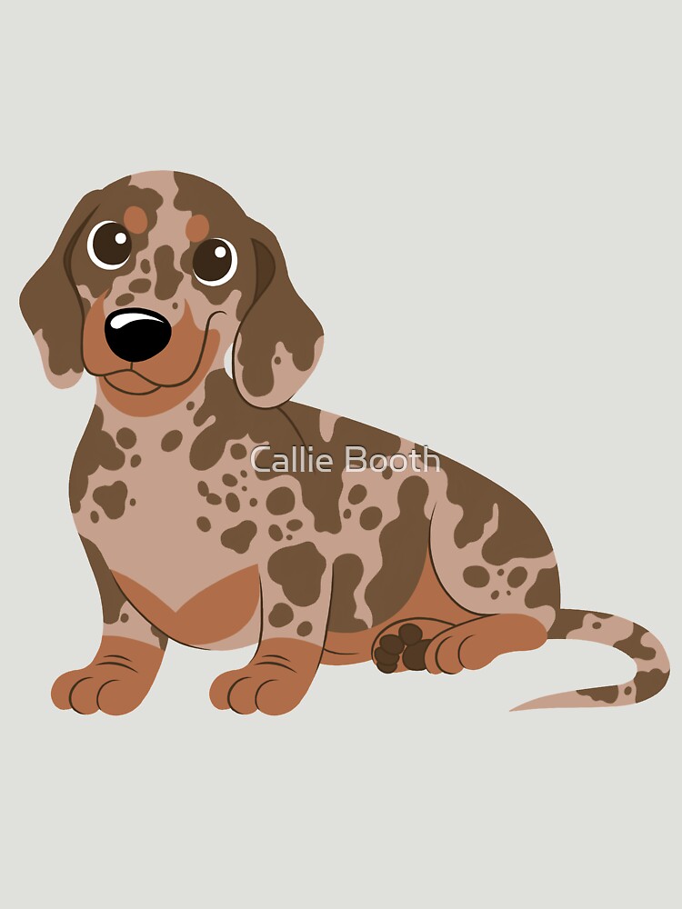 "Miniature Dachshund Dapple" Tshirt for Sale by CallieBooth