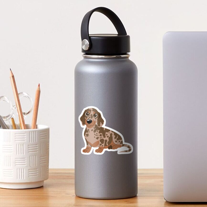 Miniature Dachshund - Dapple Sticker