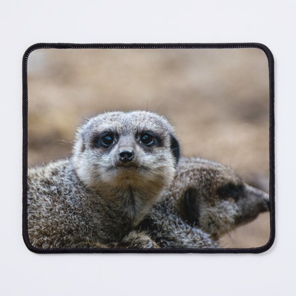 Item preview, Meerkat designed and sold by Shot-By-Reedy.