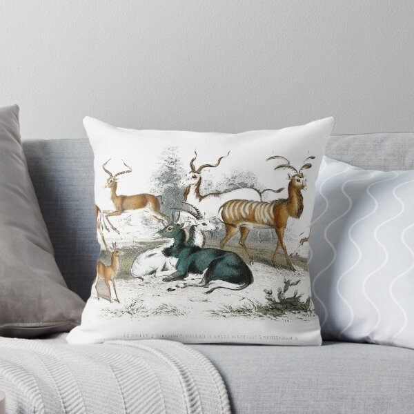 Item preview, Addax, Koodoo, Pallah, Kevel Gazelle, Springbock, Salt's Antelope and Takhaitze, designed and sold by JOY STORE 45.