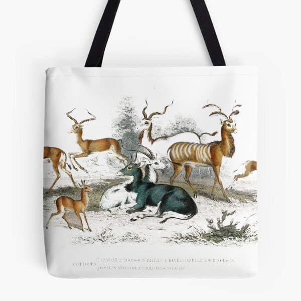 Item preview, Addax, Koodoo, Pallah, Kevel Gazelle, Springbock, Salt's Antelope and Takhaitze, designed and sold by JOY STORE 45.