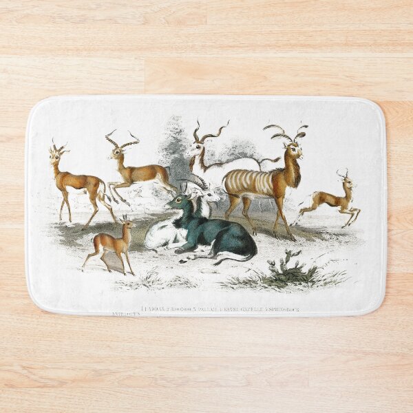 Item preview, Addax, Koodoo, Pallah, Kevel Gazelle, Springbock, Salt's Antelope and Takhaitze, designed and sold by JOY STORE 45.